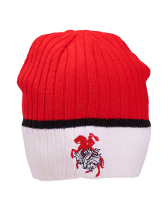 St George Dragons NRL Boundary Rib Beanie